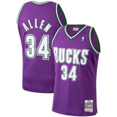 Ray Allen Milwaukee Bucks 2000/01 Hardwood Classics Swingman Jersey Purple - NBA