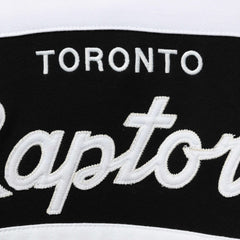 Toronto Raptors Head Coach Pullover Hoodie Purple/Black - NBA