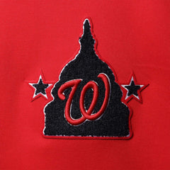 Washington Nationals Pro Standard Logo Pullover Hoodie - MLB