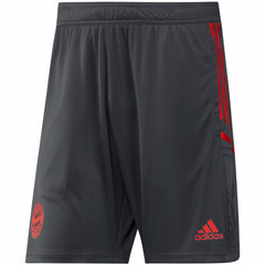 Bayern Munich Training AEROREADY Shorts Gray | Adidas