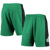 Boston Celtics 2007 Hardwood Classics 75th Anniversary Swingman Shorts Kelly Green - NBA