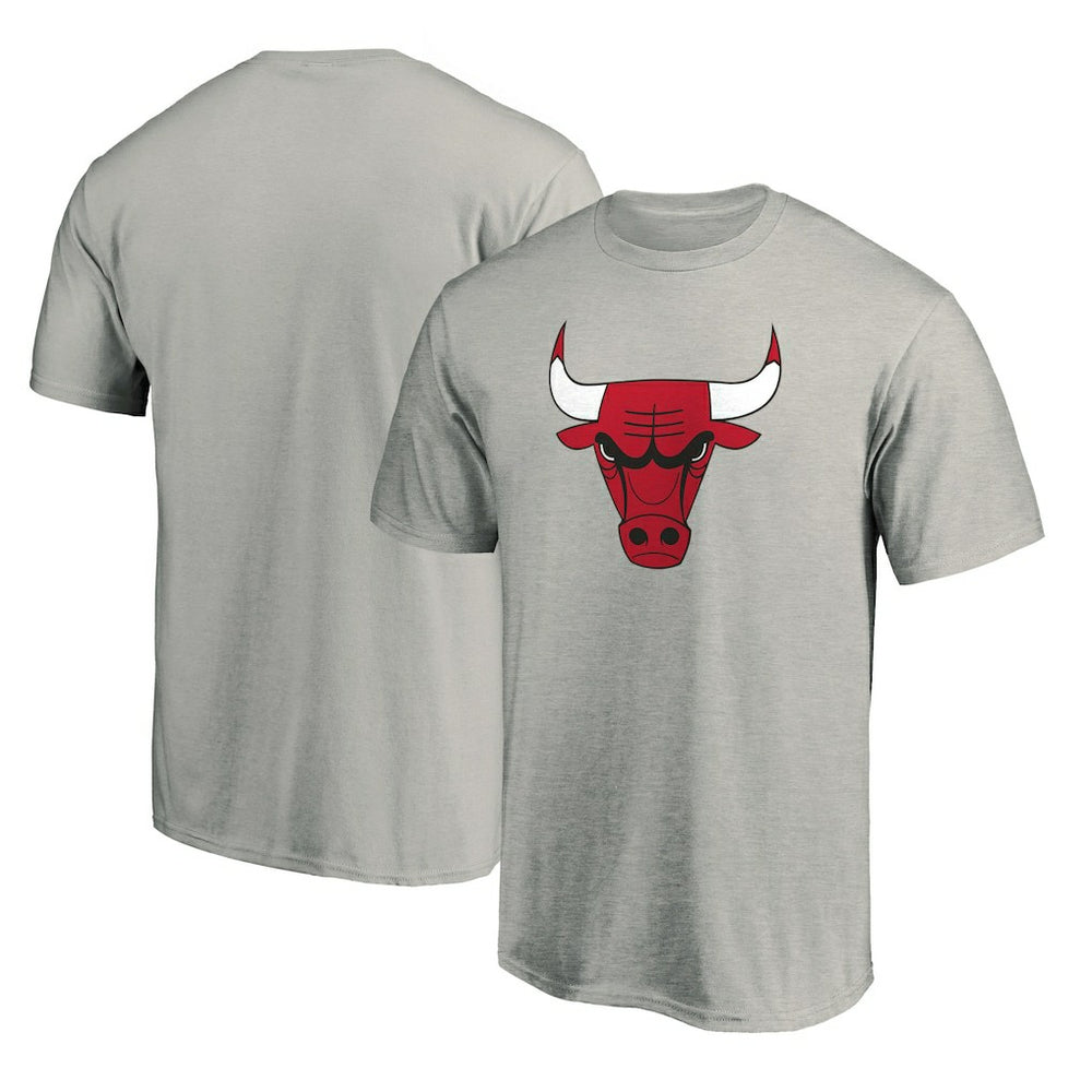 Chicago Bulls Primary Mascot Logo T-Shirt Heathered Gray - NBA