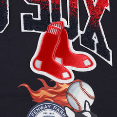 Boston Red Sox Pro Standard Hometown T-Shirt - MLB