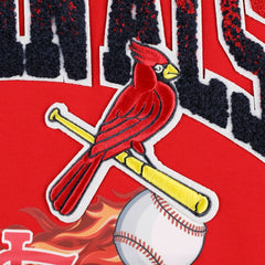 St. Louis Cardinals Pro Standard Hometown T-Shirt - MLB