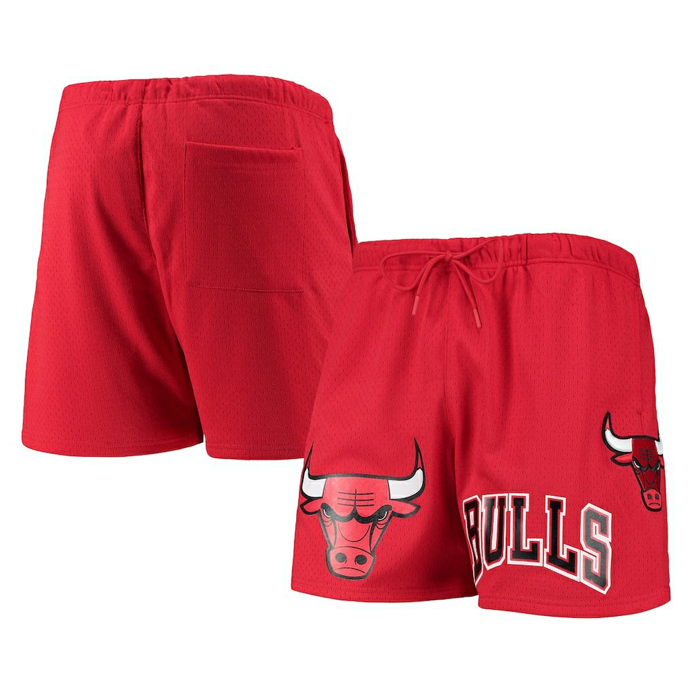 Chicago Bulls Pro Standard Mesh Capsule Shorts Red - NBA