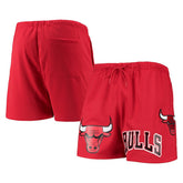 Chicago Bulls Pro Standard Mesh Capsule Shorts Red - NBA