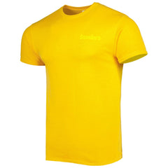 Pittsburgh Steelers '47 Fast Track Tonal Highlight T-Shirt Gold | 47 brand