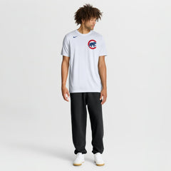 Chicago Cubs Nike New Legend Wordmark Dri-FIT T-Shirt - MLB