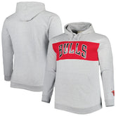 Chicago Bulls Big & Tall Wordmark Pullover Hoodie Heather Gray - NBA