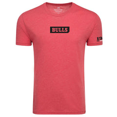 Chicago Bulls Sportiqe Unisex 1966 Collection Comfy Tri-Blend T-Shirt Red - NBA