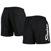 Pittsburgh Steelers Team Essentials Nylon Shorts Black | Mitchell & Ness