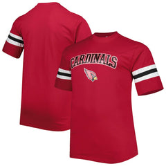 Arizona Cardinals Big & Tall Arm Stripe T-Shirt Cardinal | NFL