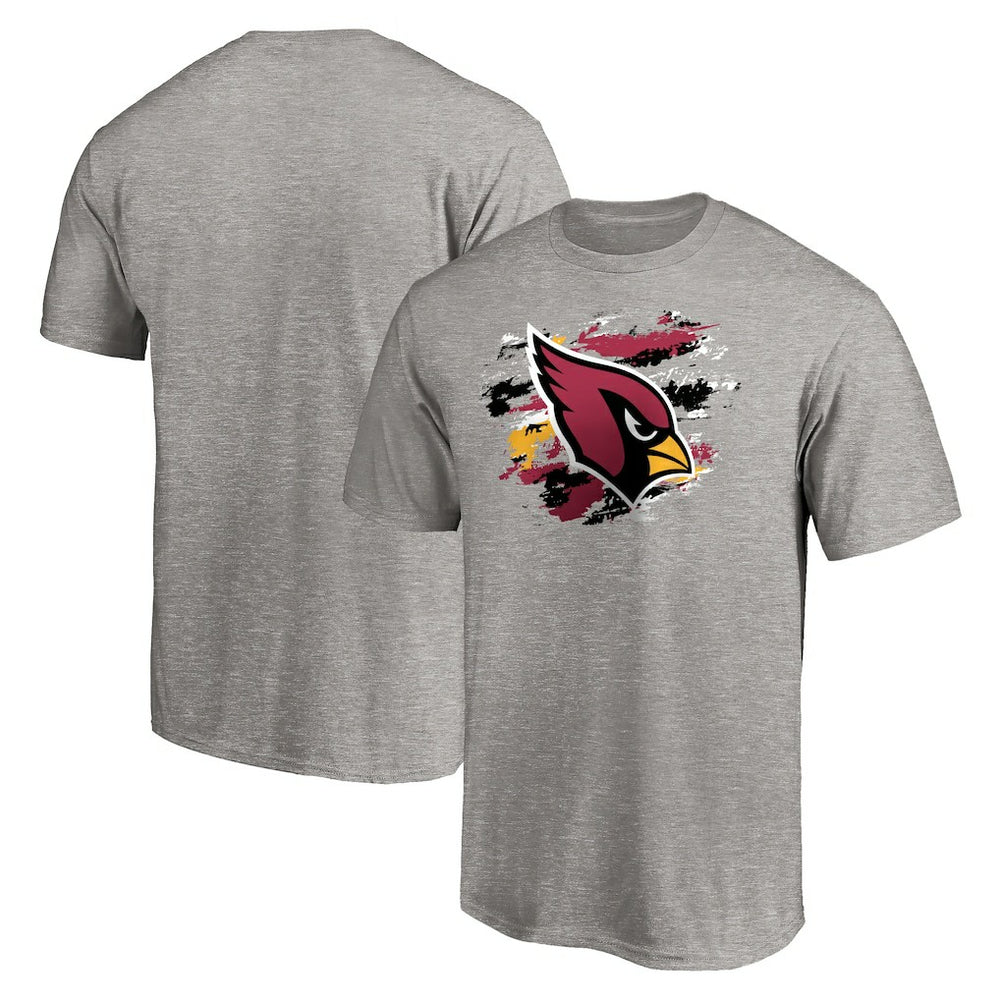 Arizona Cardinals True Color T-Shirt Heather Gray | NFL