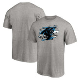Carolina Panthers True Color T-Shirt Heather Gray | NFL