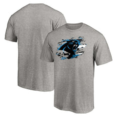 Carolina Panthers True Color T-Shirt Heather Gray | NFL