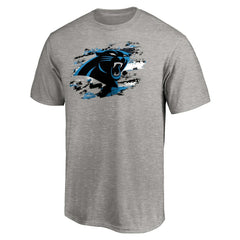 Carolina Panthers True Color T-Shirt Heather Gray | NFL