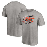 Chicago Bears True Color T-Shirt Heather Gray | NFL