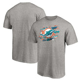 Miami Dolphins True Color T-Shirt Heather Gray | NFL