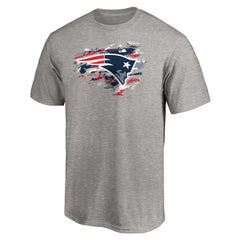 New England Patriots True Color T-Shirt Heather Gray | NFL