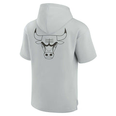 Chicago Bulls Unisex Elements Super Soft Fleece Short Sleeve Pullover Hoodie Gray - NBA
