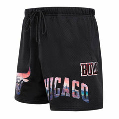 Chicago Bulls Pro Standard City Scape Mesh Shorts Black - NBA