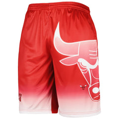 Chicago Bulls Graphic Shorts Red - NBA