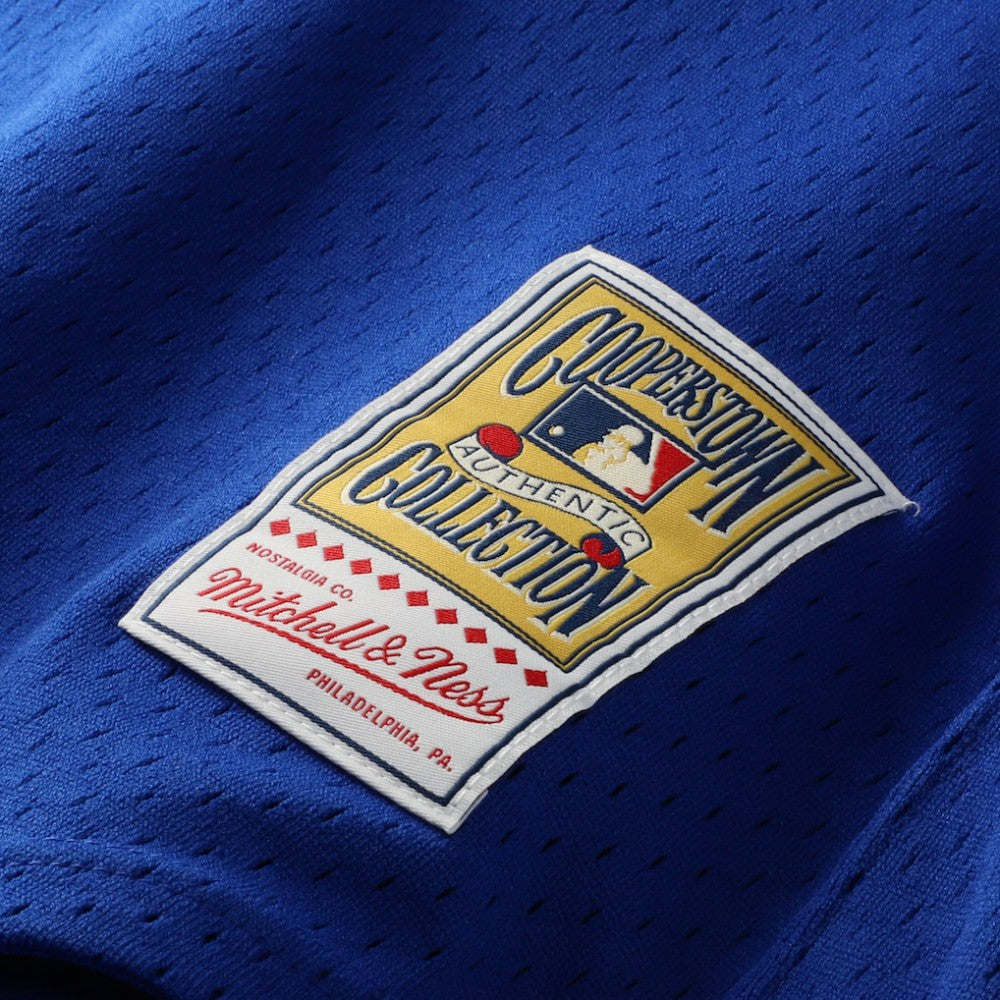 Joe Carter Toronto Blue Jays Mitchell & Ness Authentic Batting Practice Jersey - MLB