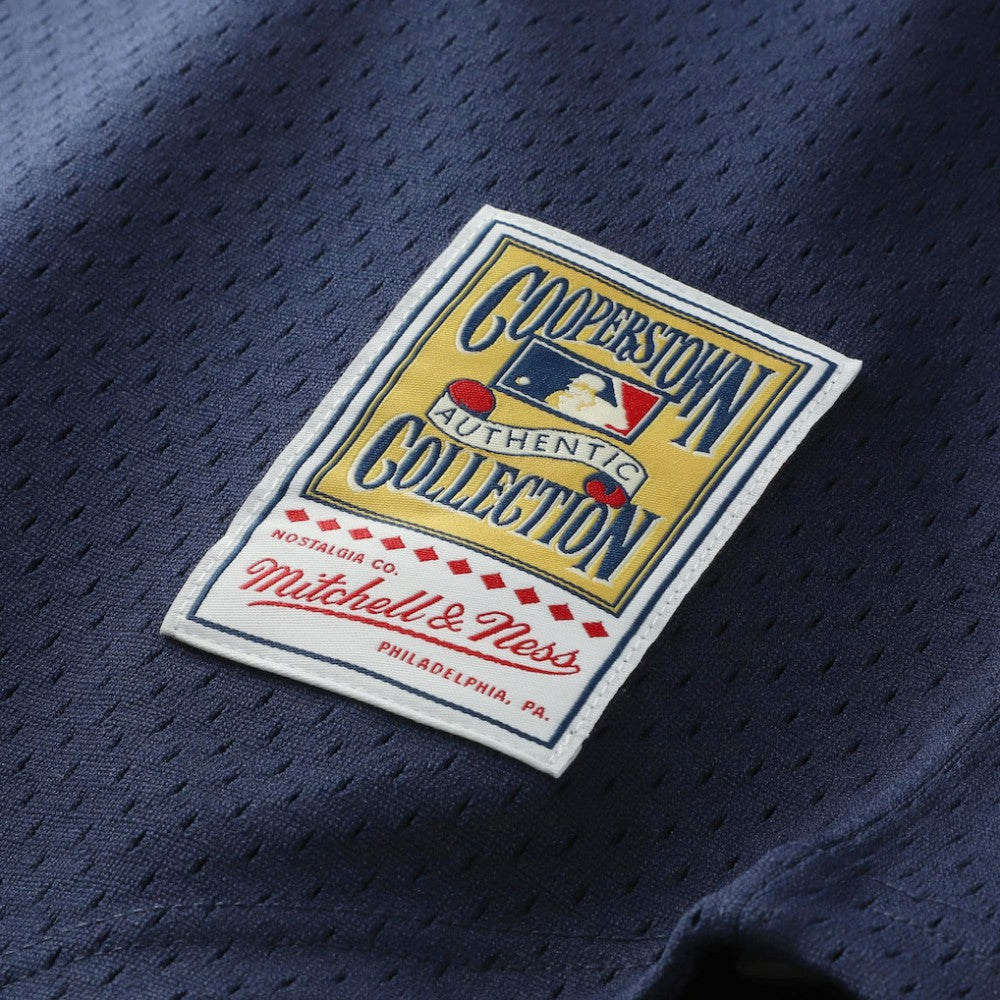 Kirby Puckett Minnesota Twins Mitchell & Ness Authentic Batting Practice Jersey - MLB