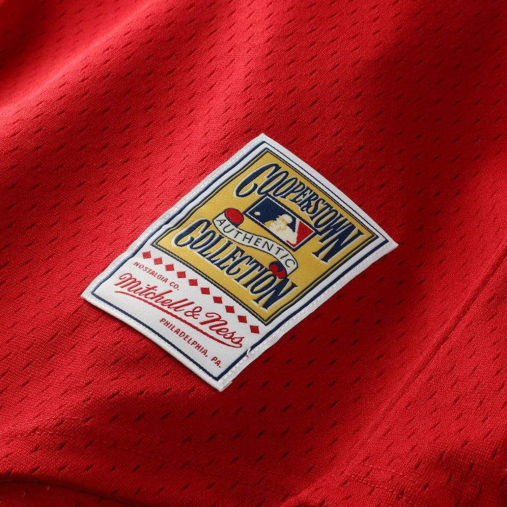 Ozzie Smith St. Louis Cardinals Mitchell & Ness Authentic Batting Practice Jersey - MLB