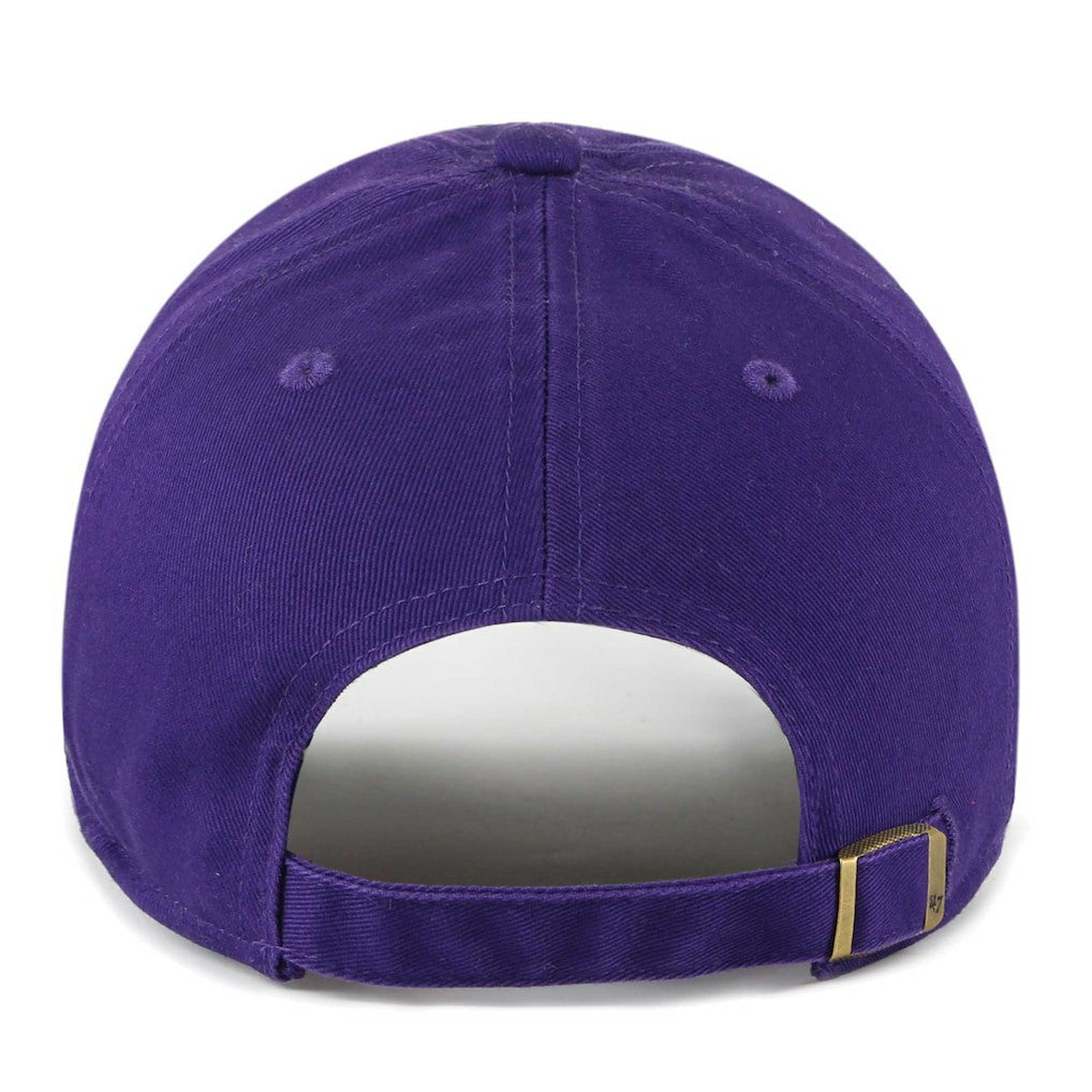 Minnesota Vikings '47 Women's Confetti Icon Clean Up Adjustable Hat Purple | 47 brand