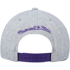 Toronto Raptors Hardwood Classics 2.0 Snapback Hat Heather Gray - NBA