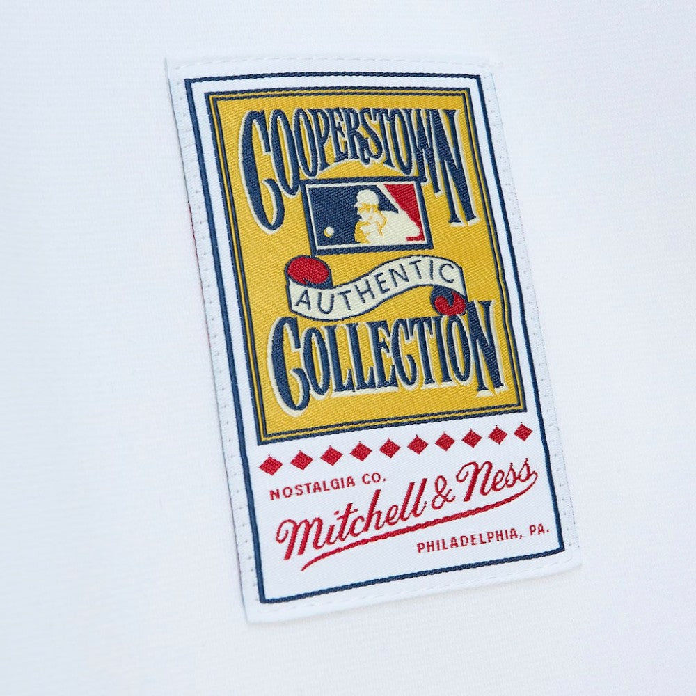 Roberto Clemente Pittsburgh Pirates Mitchell & Ness Cooperstown Collection Authentic Jersey - MLB