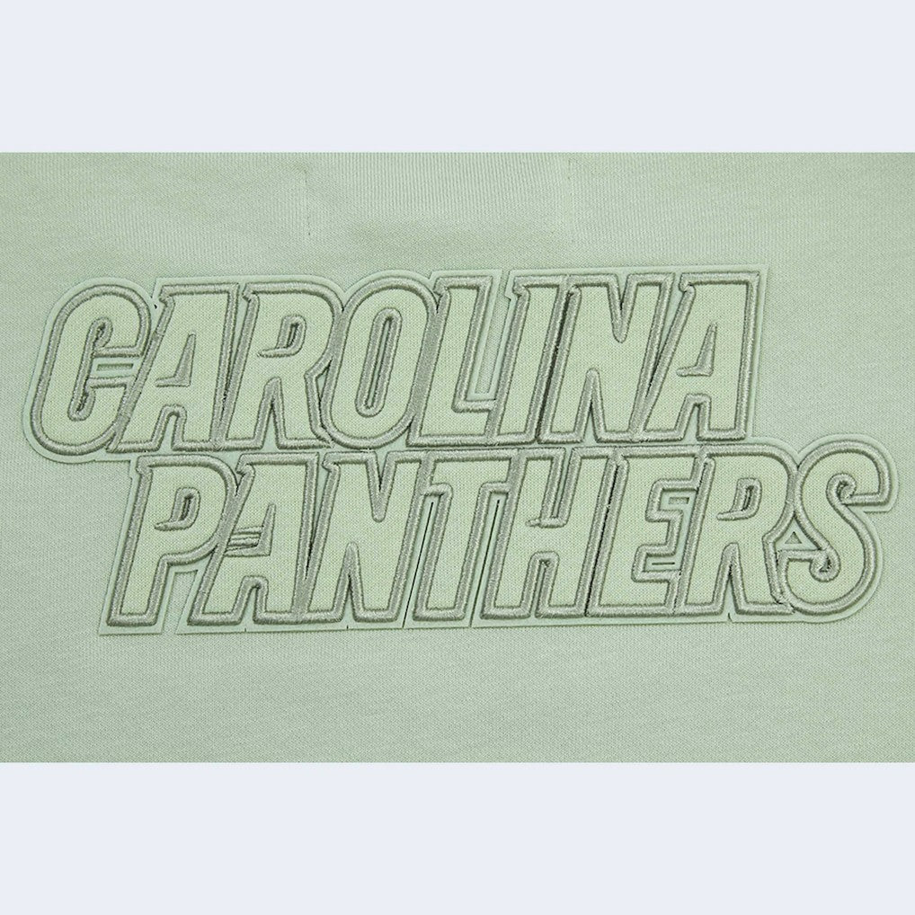 Carolina Panthers Pro Standard Women's Oversized Cropped Neutral Pullover Sweatshirt Light Green | NFL