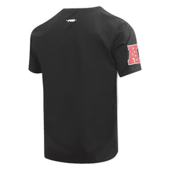 Las Vegas Raiders Pro Standard Hybrid T-Shirt Black | NFL
