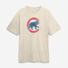 Chicago Cubs Fanatics Stadium Slub T-Shirt - MLB