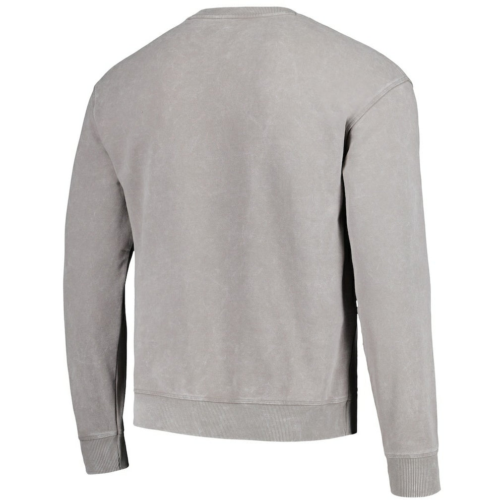 Carolina Panthers The Wild Collective Unisex Distressed Pullover Sweatshirt Gray | NFL