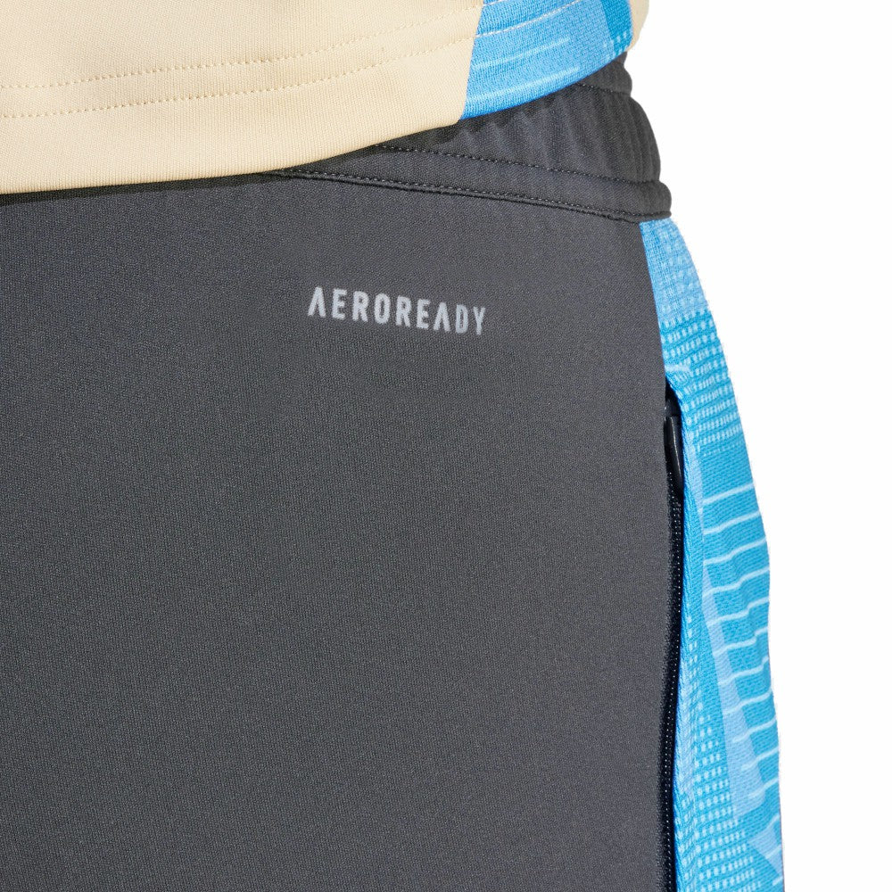 Argentina National Team 2024 AEROREADY Training Pants Gray | Adidas cheap