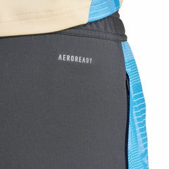 Argentina National Team 2024 AEROREADY Training Pants Gray | Adidas cheap