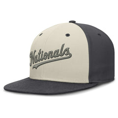 Washington Nationals Nike Dri-FIT True Fitted Hat - MLB