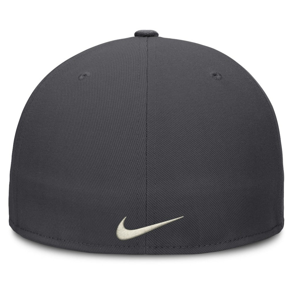Washington Nationals Nike Dri-FIT True Fitted Hat - MLB