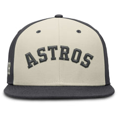 Houston Astros Nike Dri-FIT True Fitted Hat - MLB