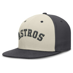 Houston Astros Nike Dri-FIT True Fitted Hat - MLB