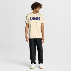 Chicago Cubs Nike Swoosh Legend Dri-FIT T-Shirt - MLB
