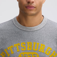 Pittsburgh Steelers IconicFleece Short Sleeve Sweatshirt Athletic Heather Gray | Fanatics