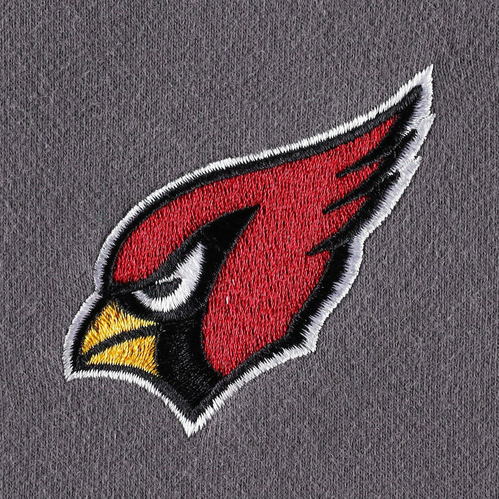 Arizona Cardinals The Wild Collective Women's Fleece Pullover Sweatshirt Charcoal | NFL