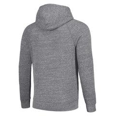 Detroit Lions Homage Unisex Hyperlocal Raglan Pullover Hoodie Gray | NFL