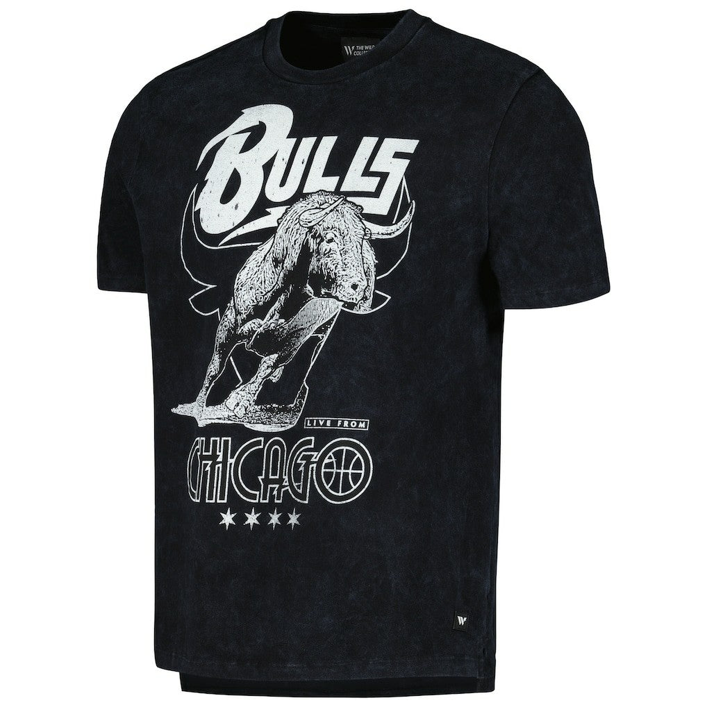 Chicago Bulls The Wild Collective Unisex Tour Band T-Shirt Black - NBA