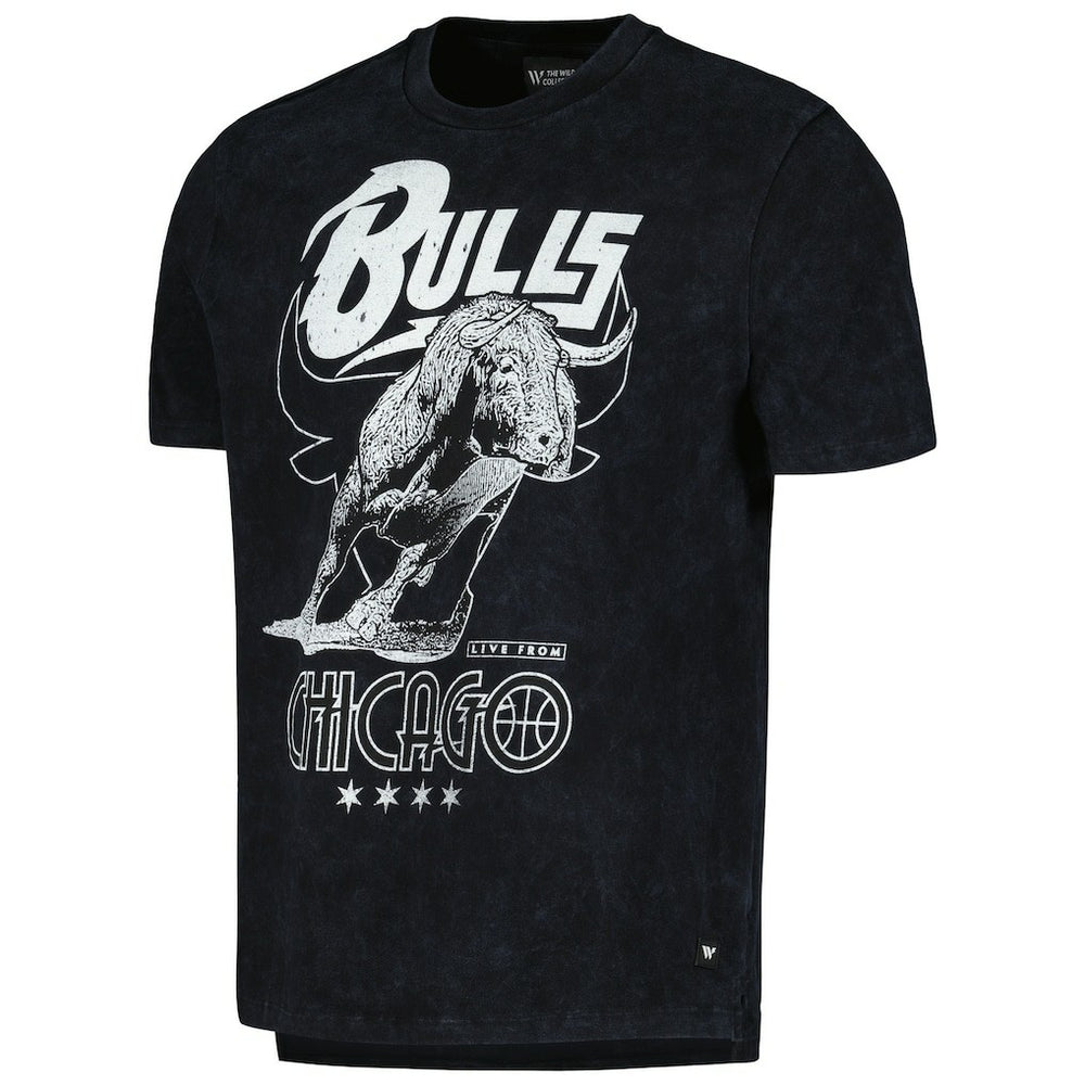Chicago Bulls The Wild Collective Unisex Tour Band T-Shirt Black - NBA