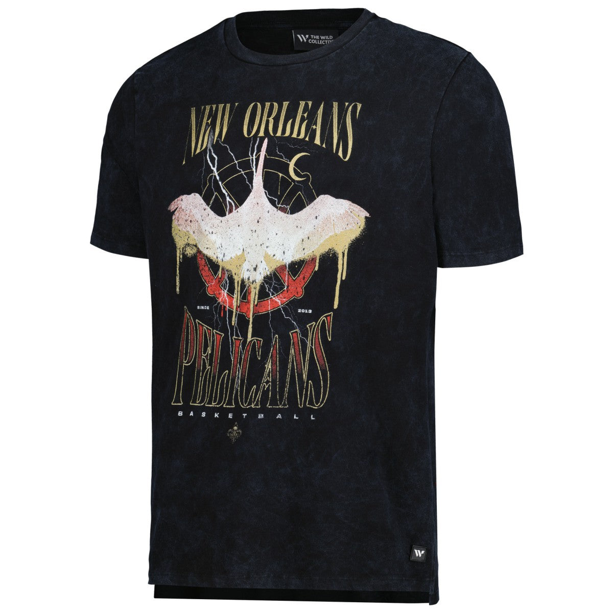 New Orleans Pelicans The Wild Collective Unisex Tour Band T-Shirt Black - NBA