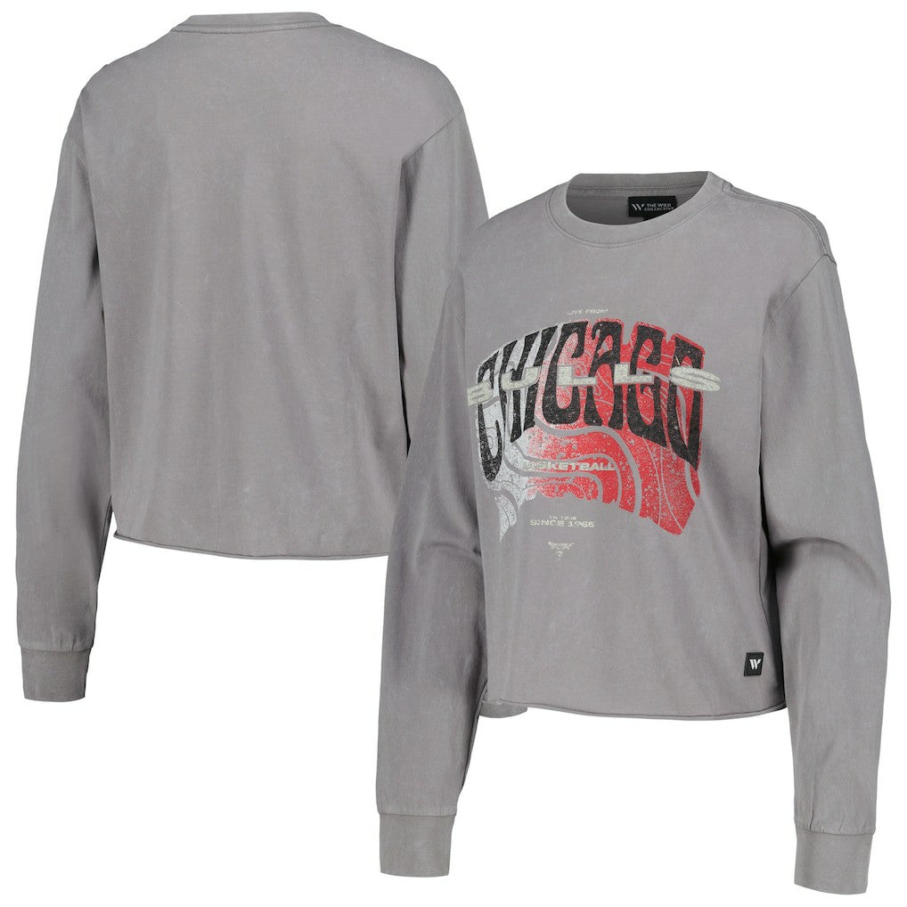 Chicago Bulls The Wild Collective Women's Band Cropped Long Sleeve T-Shirt Gray - NBA